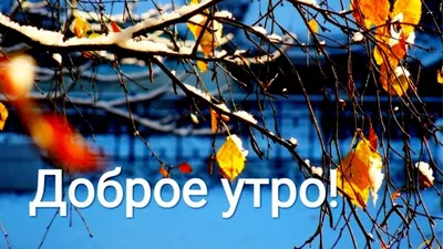 Картинки утреннего ноября 2024 года