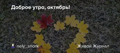 **Фотографии с утренней атмосферой октябрьских дней** - пробуждение природы и души