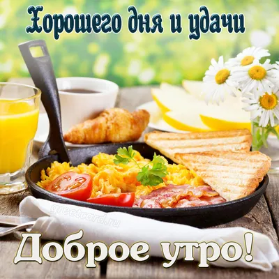 Утренние впечатления: Доброе утро отличного дня!