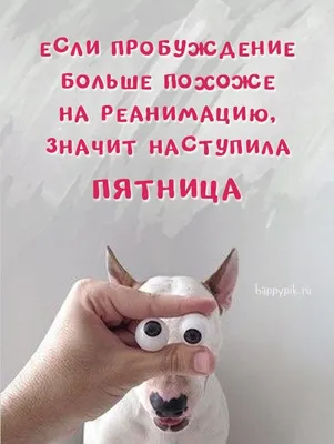 Новые фото для утреннего настроения