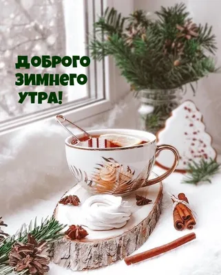 **Зимние фотографии для вдохновения утром в пятницу**