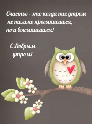 Утренние изображения Доброе утро по-французски для вашего утра: выбирайте размер