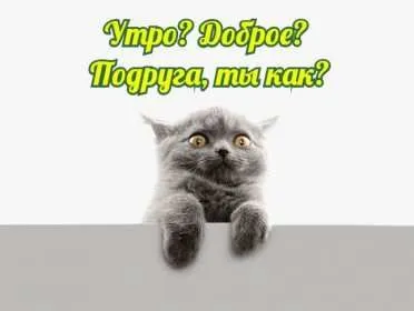 Утренние картинки для подружки: новое изображение