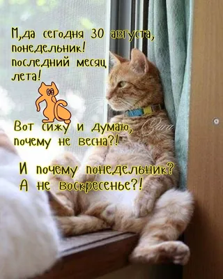 **Утренние фото весны: вдохновение на понедельник**