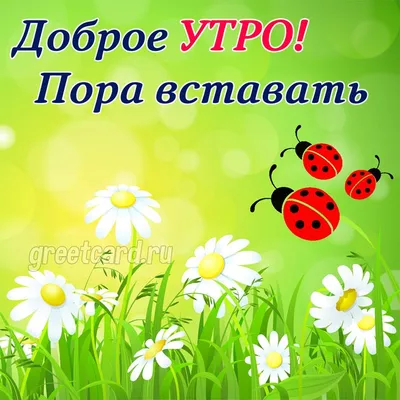 Утренние пейзажи для скачивания в формате JPG, PNG, WebP