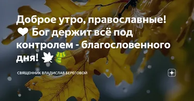 Утренние фотографии природы