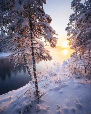 Фото утренней зимней природы: скачать в Full HD качестве