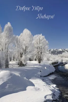 Новые фотографии природы зимой: выберите формат изображения