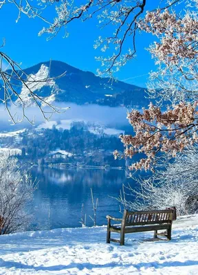 Фото зимней природы: выберите формат изображения для скачивания