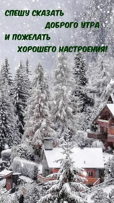 Фото природы зимой: выберите размер изображения для скачивания бесплатно