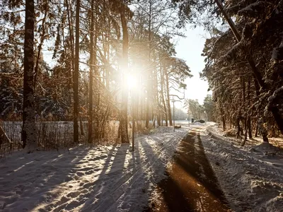 Зимние утренние пейзажи: вдохновение и красота