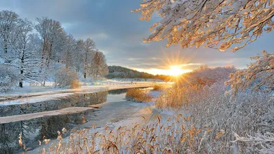 Утренние чудеса зимней природы
