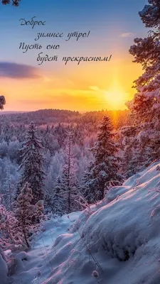Зимнее утро: мир в лучах утреннего солнца