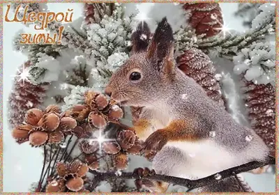 Фото природы зимой в формате webp