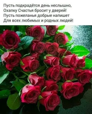 Утренние розы - великолепное приветствие.