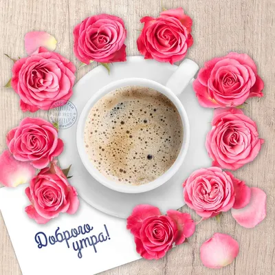 Розы в очаровательном фото Доброе утро в png формате