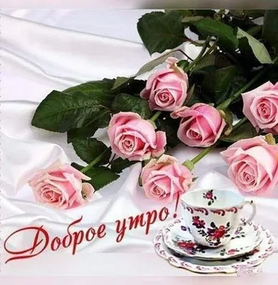 Изображение Доброе утро розы в разных форматах, фото