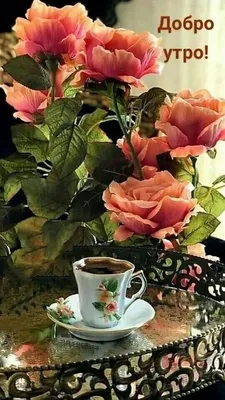Красивые розы на фото Доброе утро в png формате