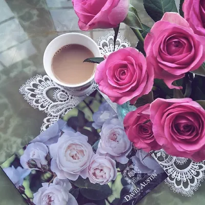 Розы в очаровательном фото Доброе утро с возможностью выбора формата