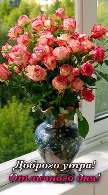 Фотография с розами Доброе утро в формате jpg, картинка