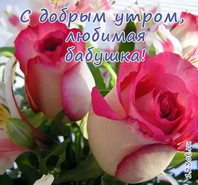 Прекрасные розы на картинке Доброе утро в webp формате, фотка