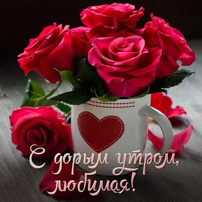 Прекрасные розы на картинке Доброе утро