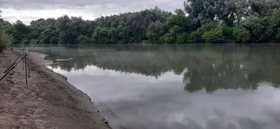 Волшебство утренней рыбалки в картинках