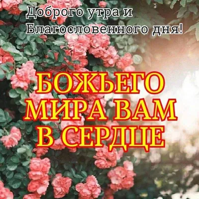 Утренние картинки с богом: вдохновение на новый день