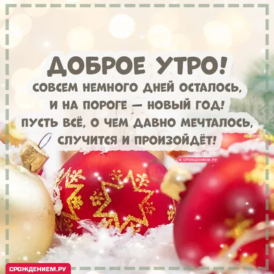 **Утренние фото с Новым годом**