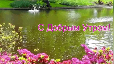 Утренний фотогоризонт: коллекция ярких моментов