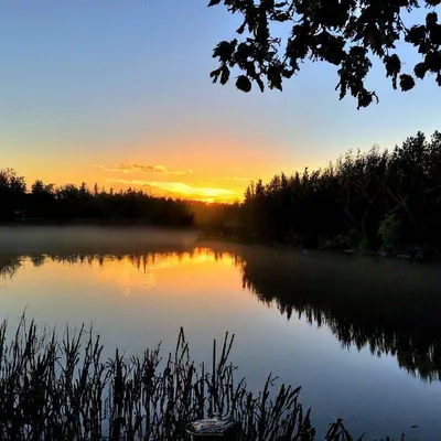 Утренний свет: фотографии солнечного утра