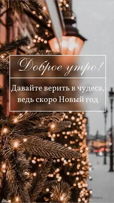 Фотографии утреннего настроения