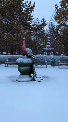 Фото снежного утра, которое заставит вас улыбнуться