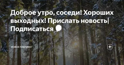 Утренний настрой: фотографии соседей