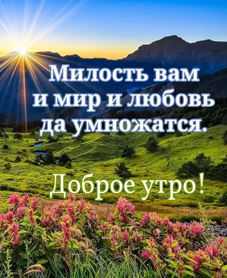 Утренние картинки в формате JPG, PNG, WebP.