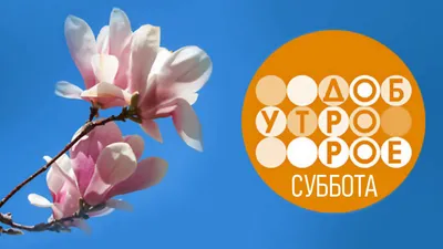 Фотографии для вдохновения: доброе утро суббота