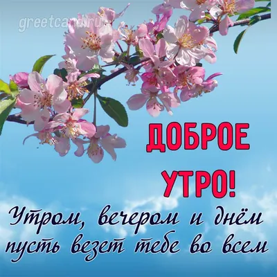 Весенние картинки, чтобы встретить утро с улыбкой