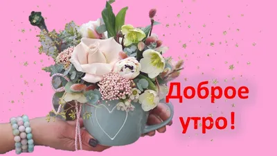 Утренний взгляд: уникальные фото, чтобы увидеть мир по-новому