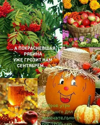 **Новые фото на утро. Изображения в хорошем качестве.**