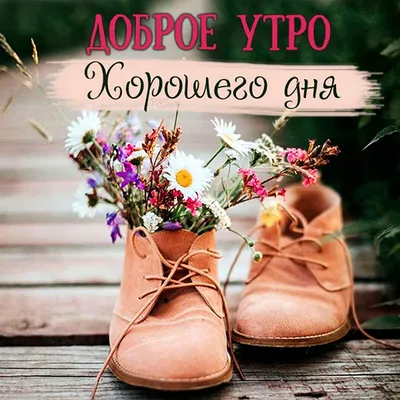 Фотографии, вдохновляющие на доброе утро