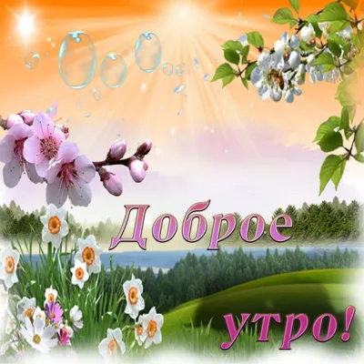 Фотографии весны: скачать в формате JPG, PNG, WebP