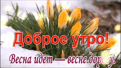 Фотографии весны: форматы PNG, JPG, WebP