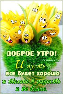 Доброе утро! Новые фото для вас