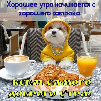 Начните свое утро с красивыми фотографиями!