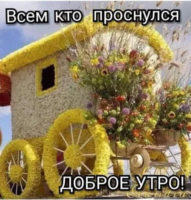 Новые фото на каждое утро.