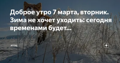 Доброе утро! Красивые фотографии зимнего вторника