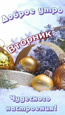 Утренние картинки: зимний вторник в ярких красках