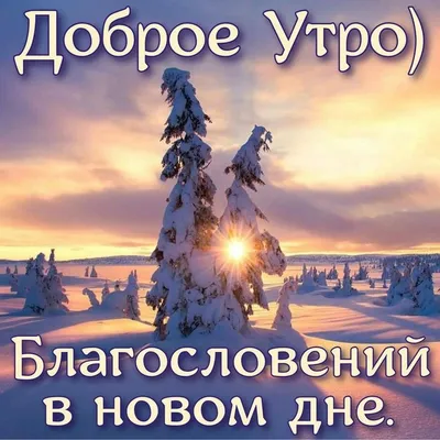 Пробуждение зимней сказки: Изображение утра в зимнем лесу