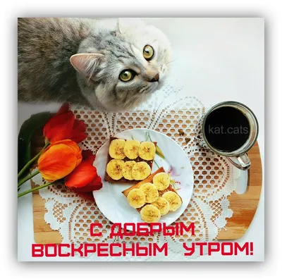 Утренние фотографии для вдохновения