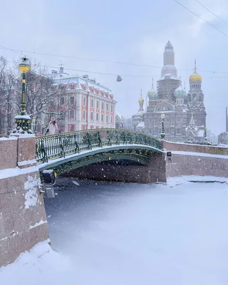 Зимние утренние радости в фотографиях